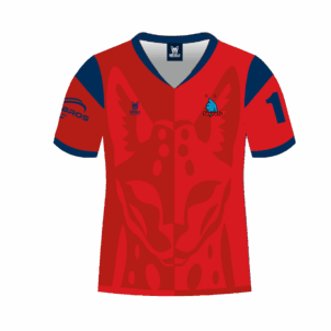 Maillots Servals XV – exterieur